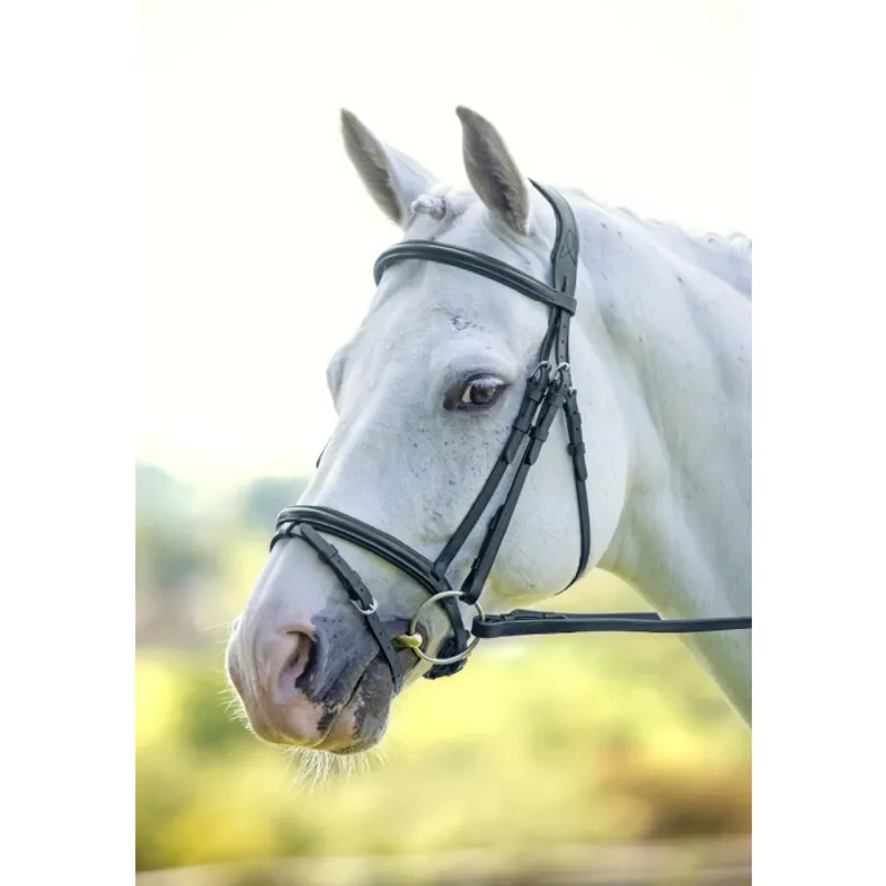 Velociti Padded Raised Flash Bridle Black